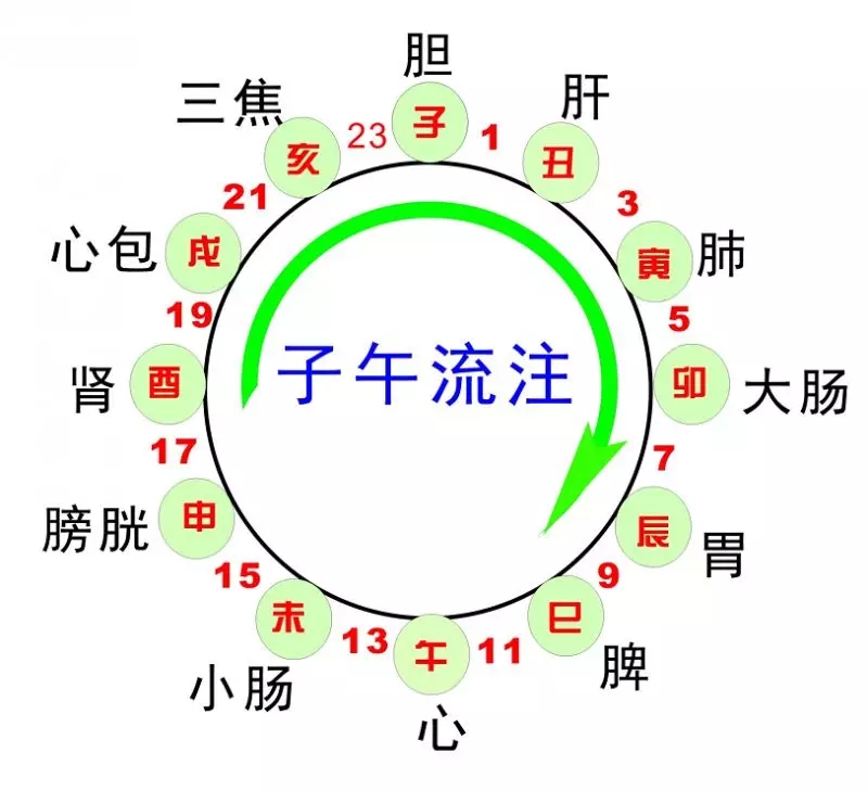 經(jīng)絡(luò)養(yǎng)生瑜伽，將印度和中國文化相結(jié)合