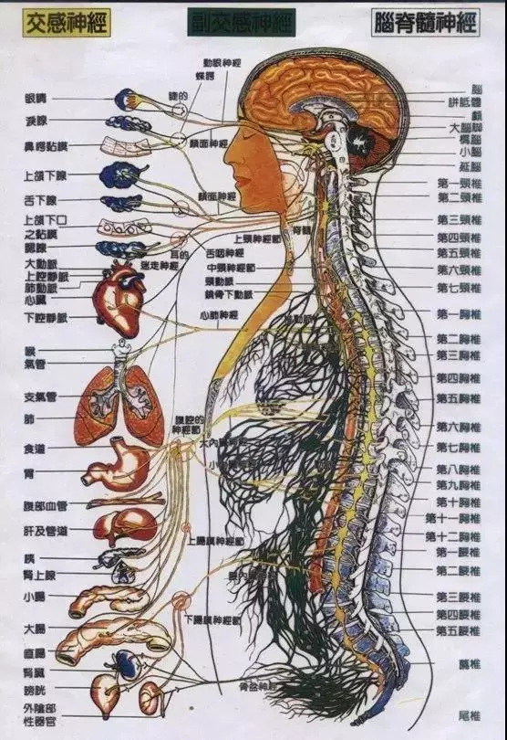 深圳瑜伽理療工作室那家好點(diǎn)？