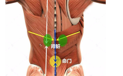 練瑜伽與生理期的關系，你知道這些嗎？